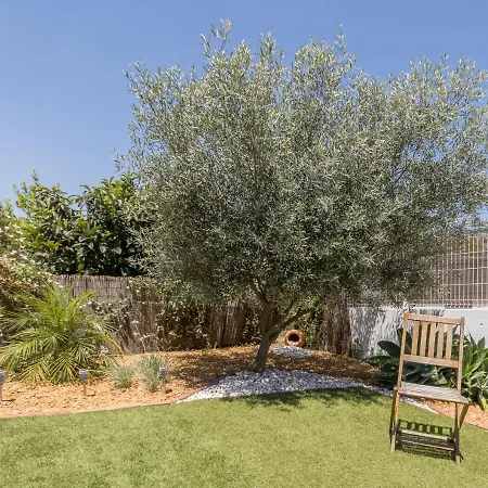 Tatil Evi Casa Da Praia Dos Pescadores, Albufeira-algarve